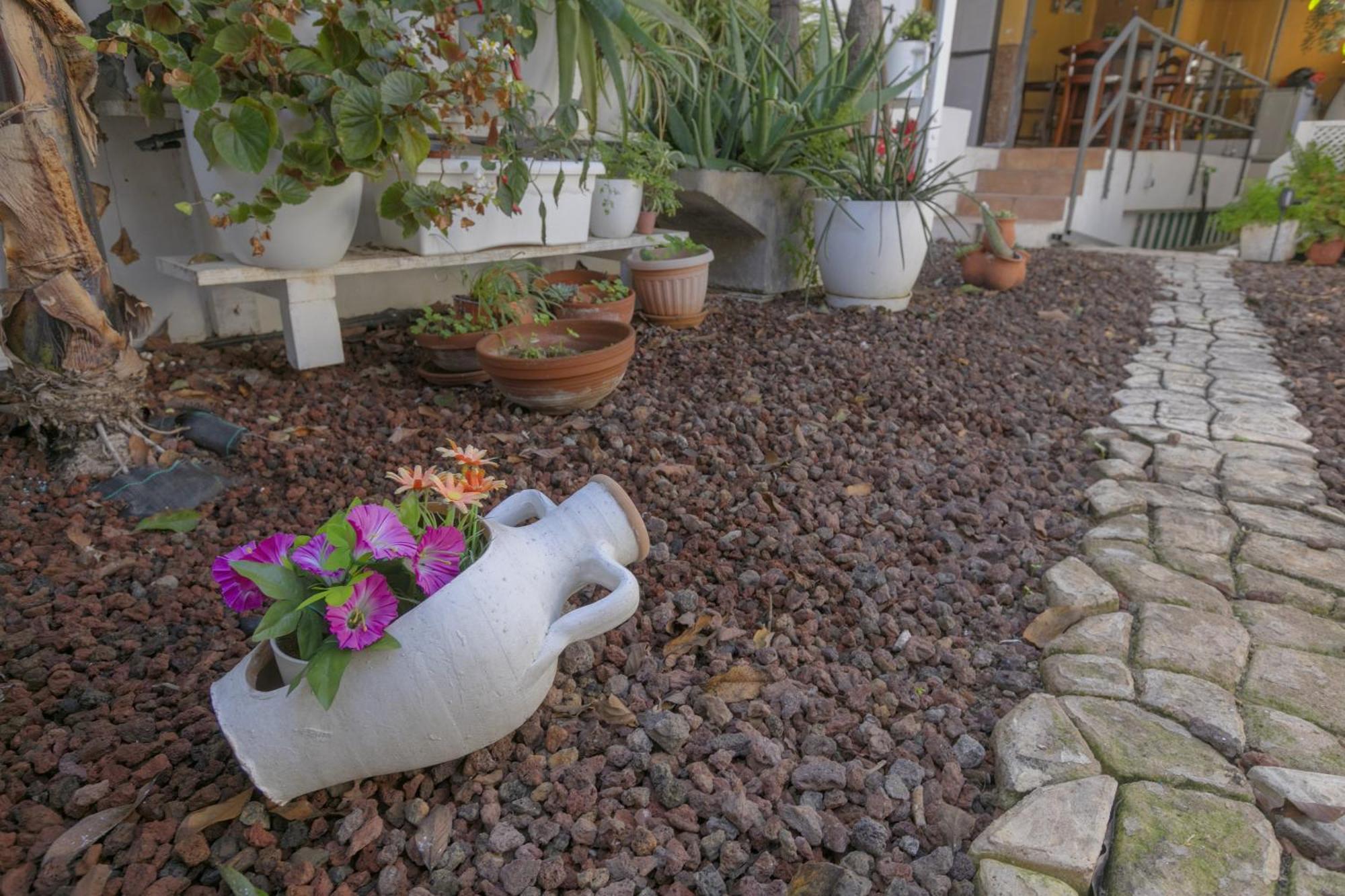 Loft Cerca Del Mar Tenerife 蓬达德尔伊达尔戈 外观 照片